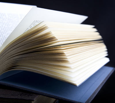 Triumph of the will essay questions