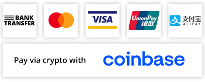 Payment logos for bank transfer, Visa, Mastercard, Coninbase, WeChat and AliPay