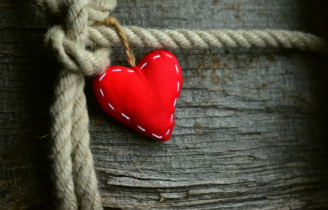 Decorative plush heart